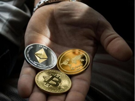 钱包侠app下载_token钱包官方网站为投资者提供的预测工具与分析模型，帮助用户准确捕捉市场机会。_钱包αpp