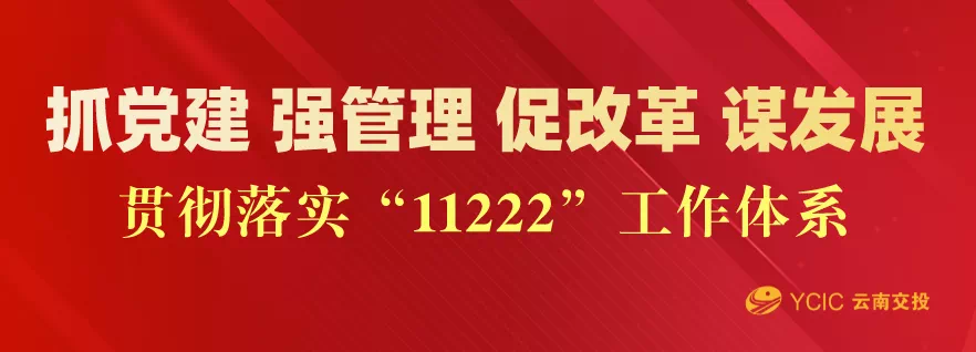 区块未来_区块链展望_token最新下载的创新功能与市场反馈，探索其在区块链行业的发展前景。